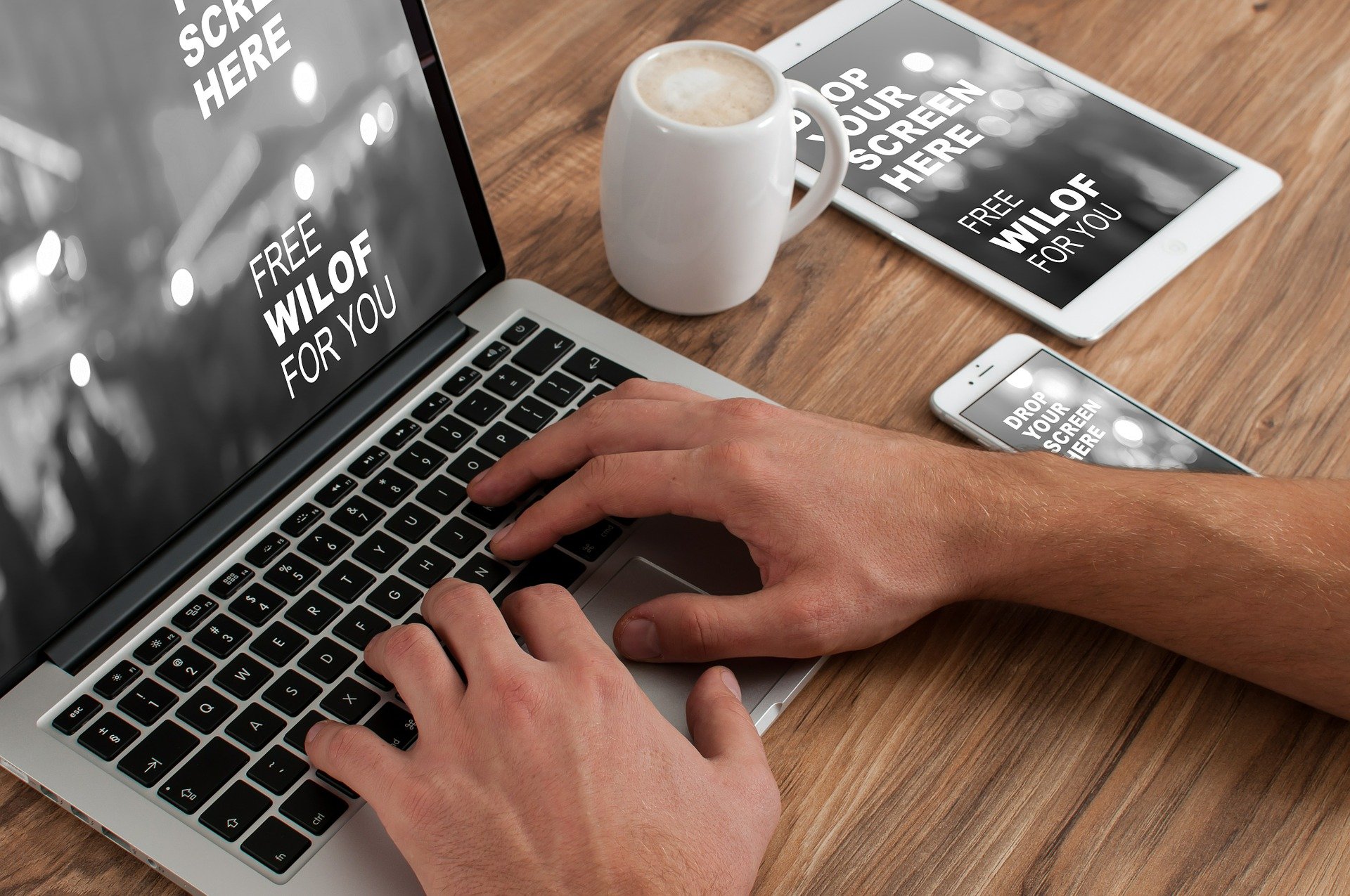 seo marketing